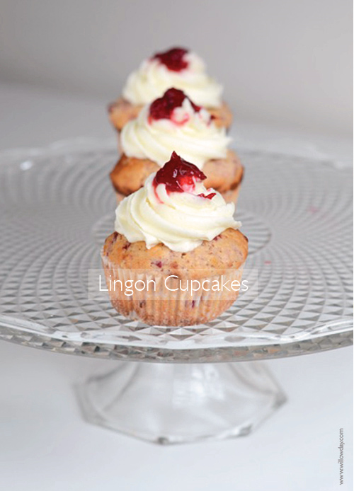 LINGON BERRY CUPCAKES