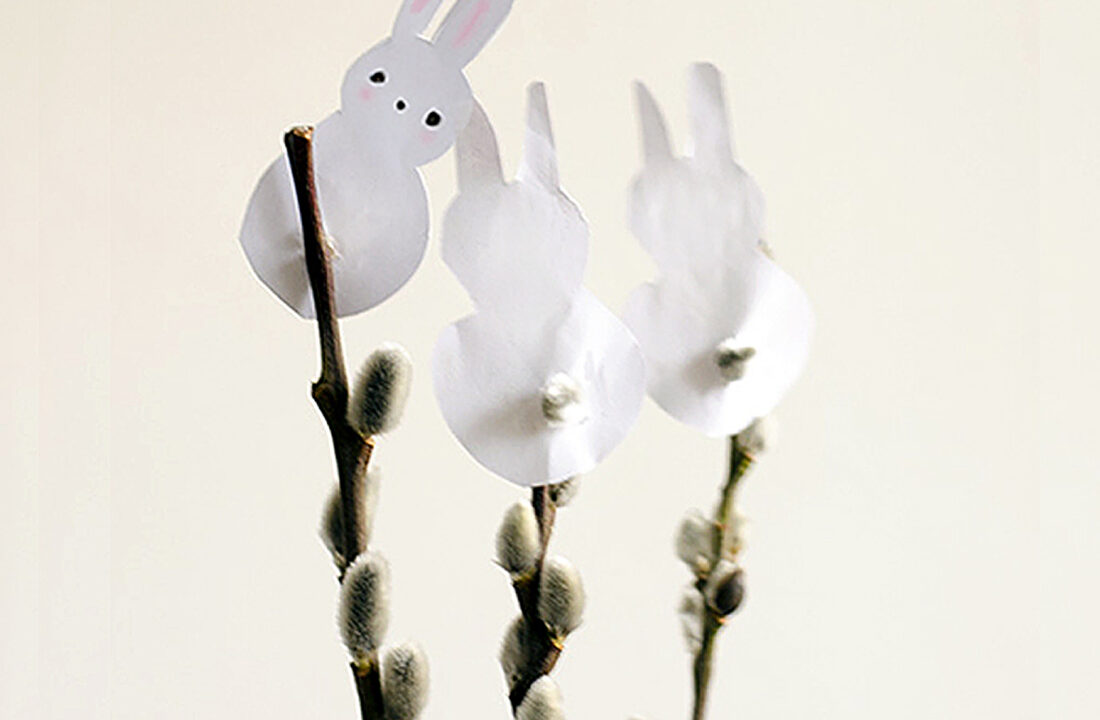 Why not invite a Pussy Willow Bunny home this year?