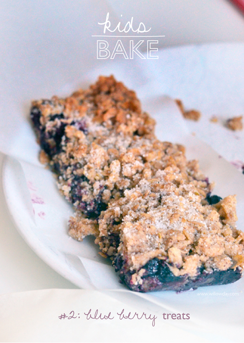 BLUEBERRY OATMEAL TREATS