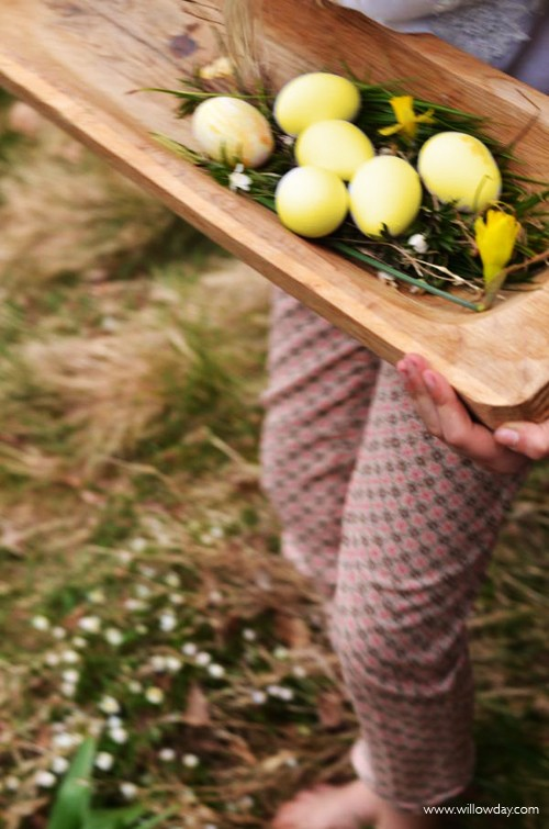 Natural Egg Dying Techniques