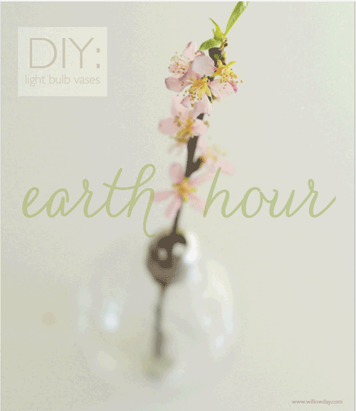 Earth Hour: DIY Lightbulb Vase