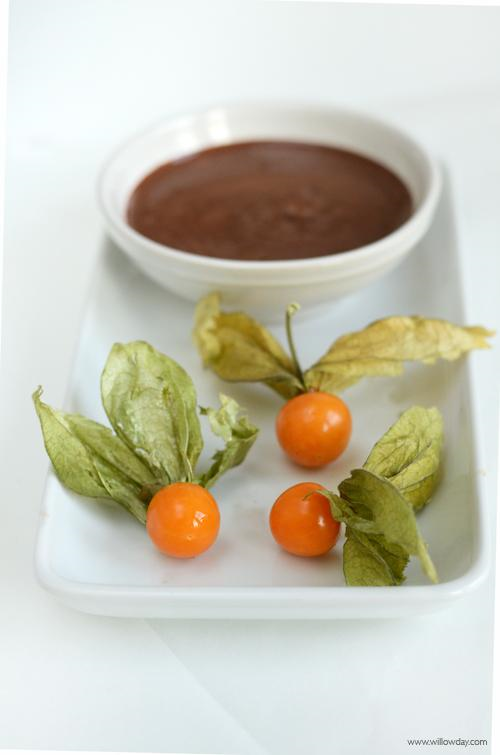 CHOCOLATE DIPPED PHYSALIS (GROUND CHERRIES)