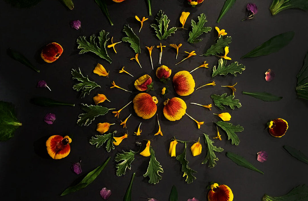 How to make Flower Mandalas