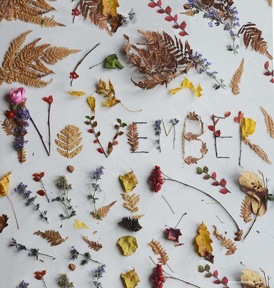 Happy November days
