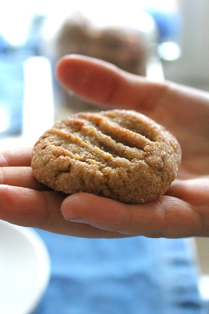 GINGER COOKIES