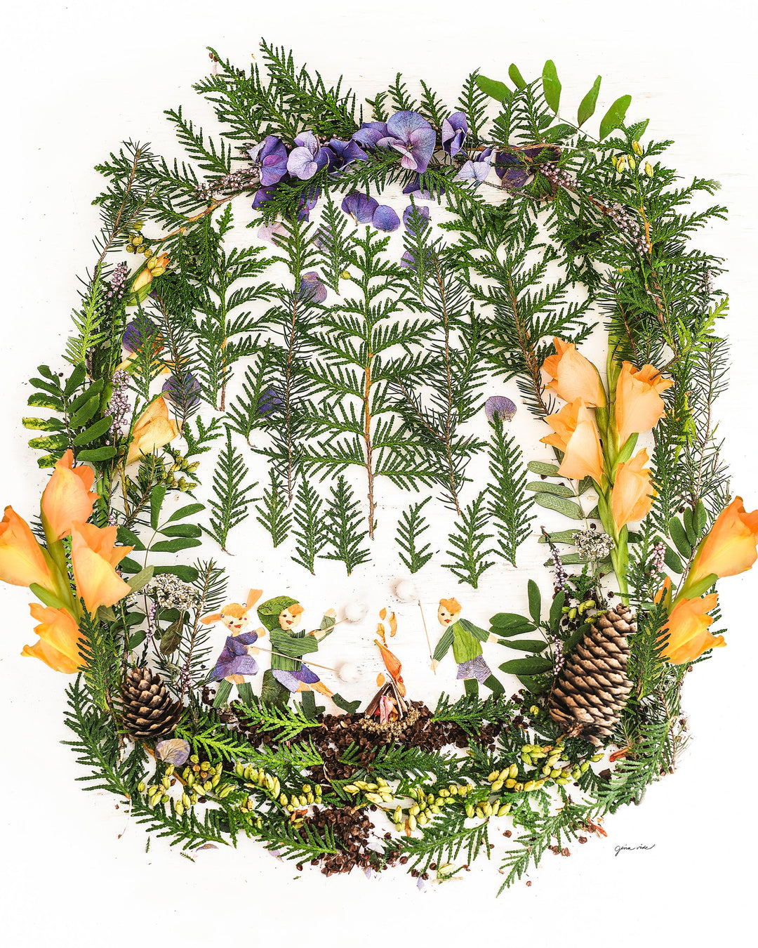 botanical art by Gina Vide at willowday